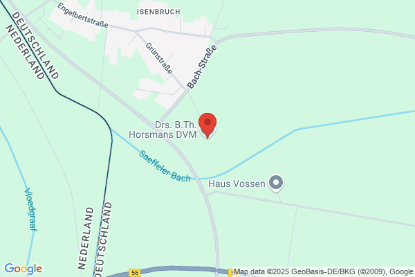 Horsmans Bv