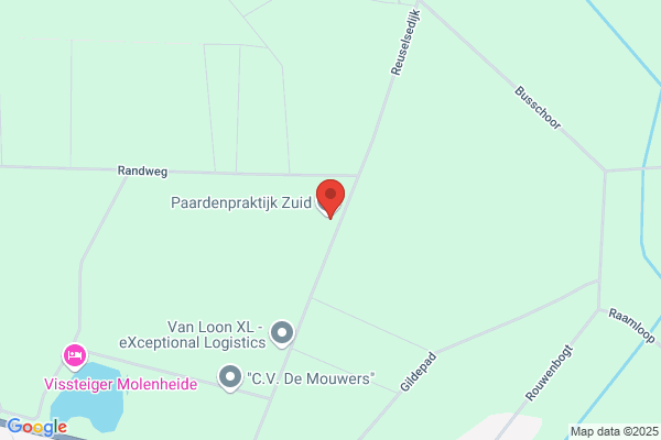Paardenartsen Brabant