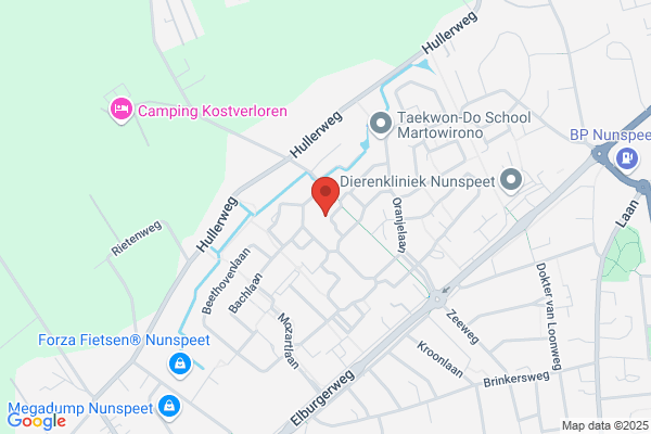 De Zwaan Installatie