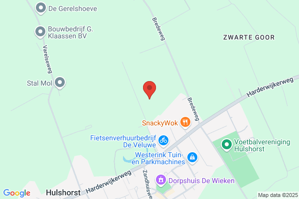 Dog Shape Midden Nederland