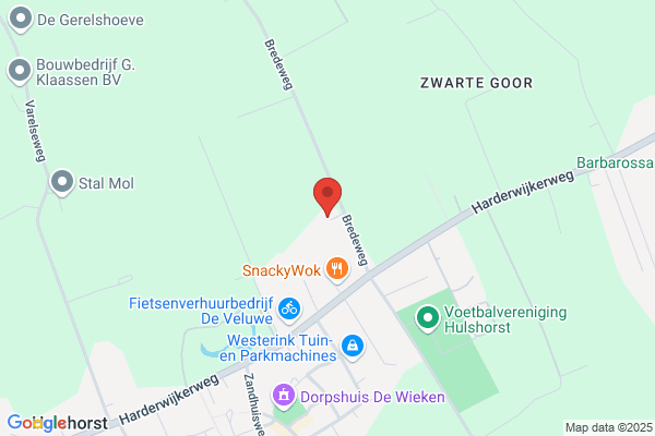 Rietdekkersbedrijf Reezigt