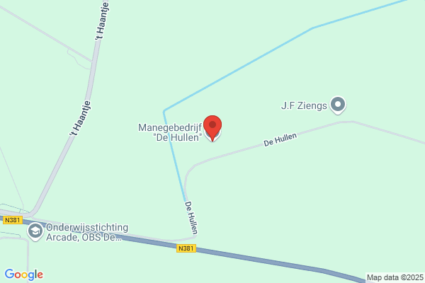 Manege De Welle