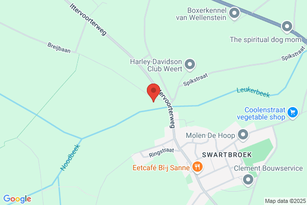 Verhofstad Loopbaanbegel. En Management