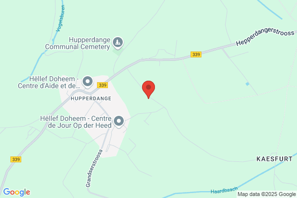Graveernaald, De