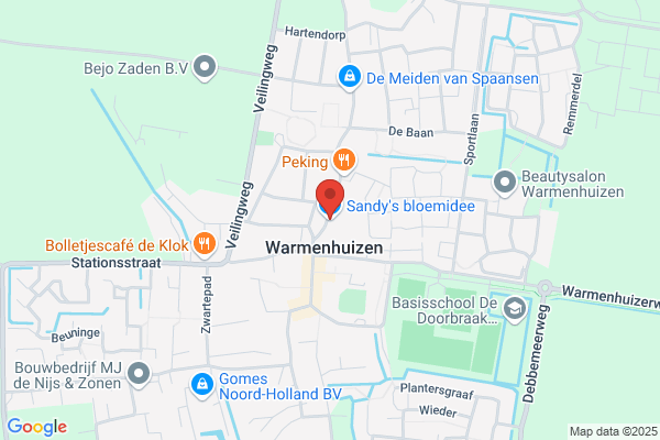 Bloemisterij De Swanneblom