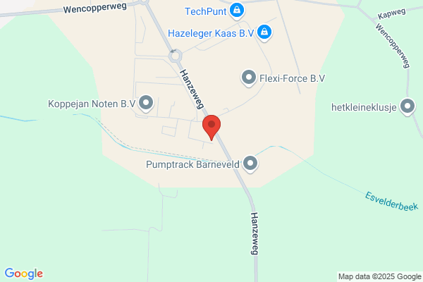 Hulsbergen Hot Air Balloon