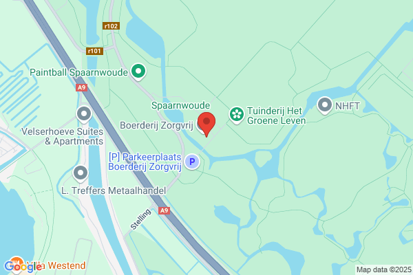 Onder De Platanen
