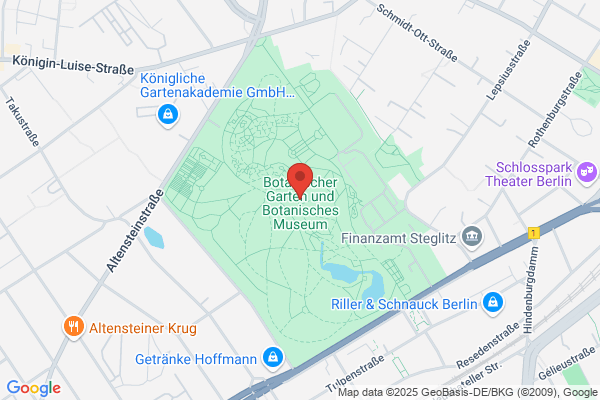 De Tuin