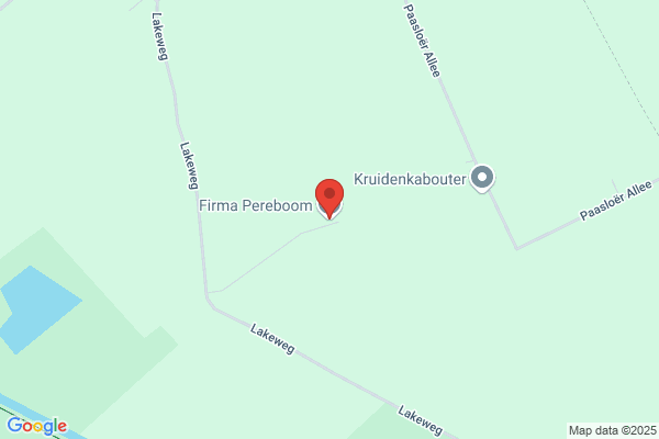 Pereboom, H