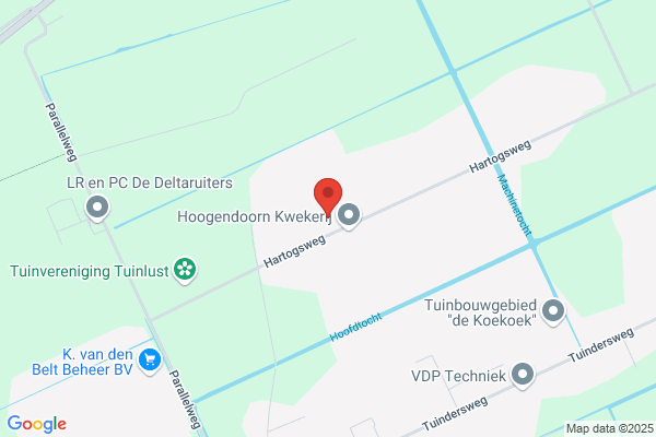 Veehandel A. Van Weeghel