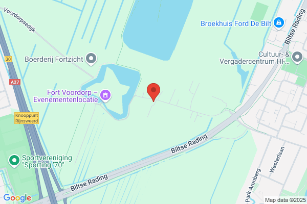 Zwaan, De