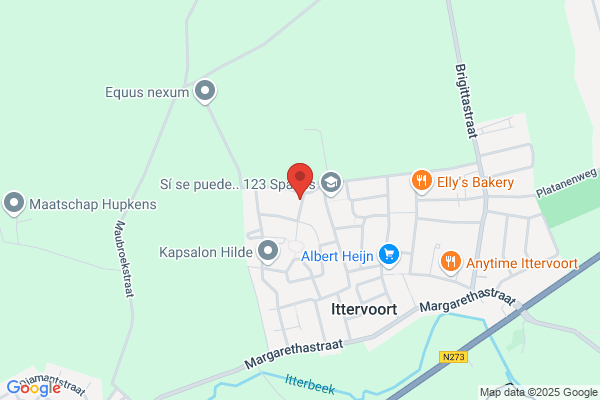 Verhofstad Loopbaanbegel. En Management
