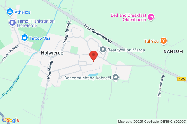 Dubbelman G C en M Schinkel/Mator belastingadviseurs