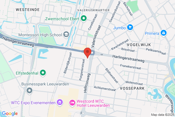 Bootsma Bloemenkwekerij
