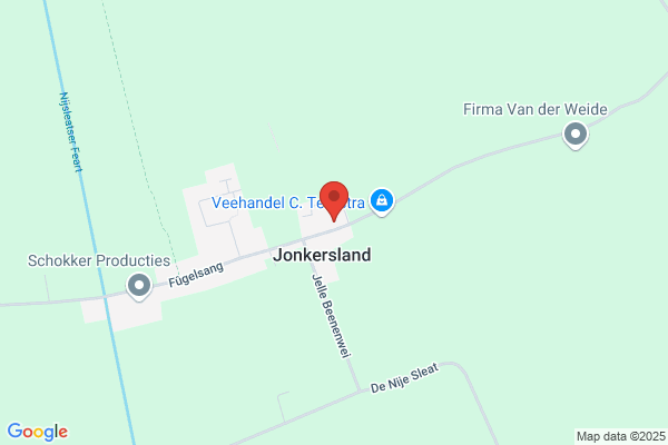 Jansma-Spoelstra, Rinskje