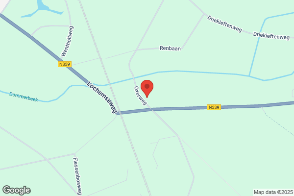 Bruggeman