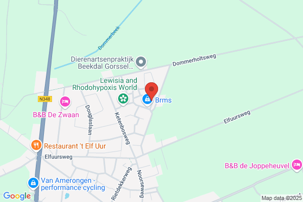 Wiltink, Bert