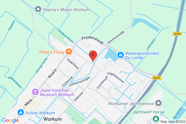 Aalscholver De Zwaan