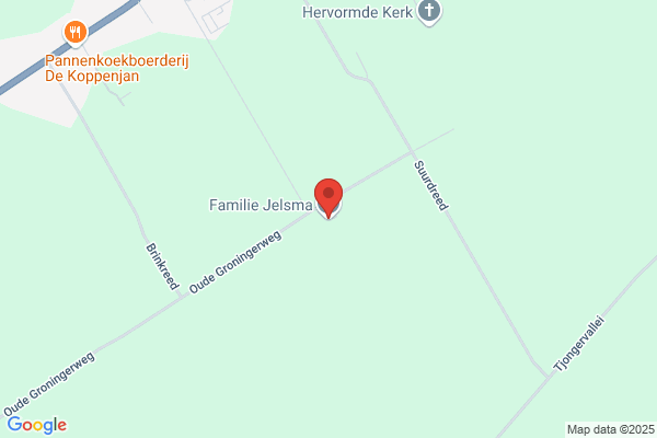 Jelsma, Roel