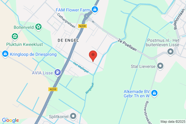Duineveld