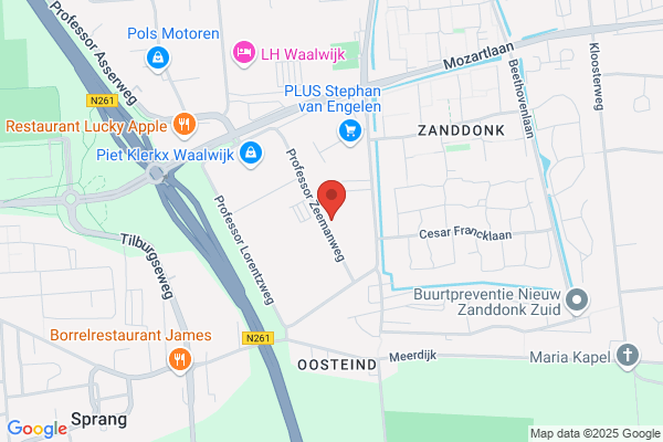 Raad Waalwijk Cv