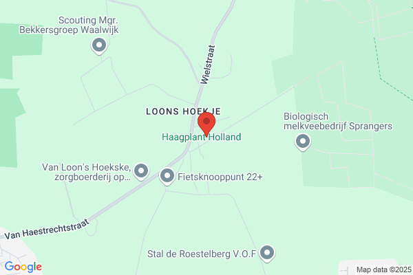 Kwekerij Plantloon B.V.