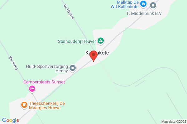 Dorpshuis, Het