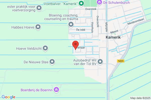 Noordzij