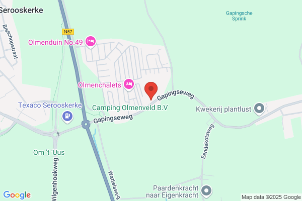 Moll, Belastingconsulent P