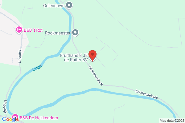 Ruiter, J E De
