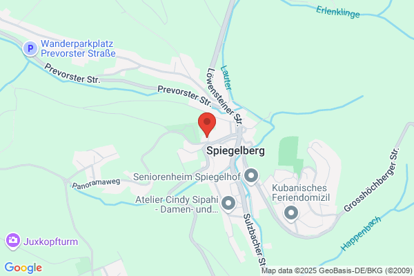 Schruer, B J M