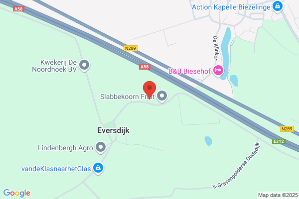 Slabbekoorn