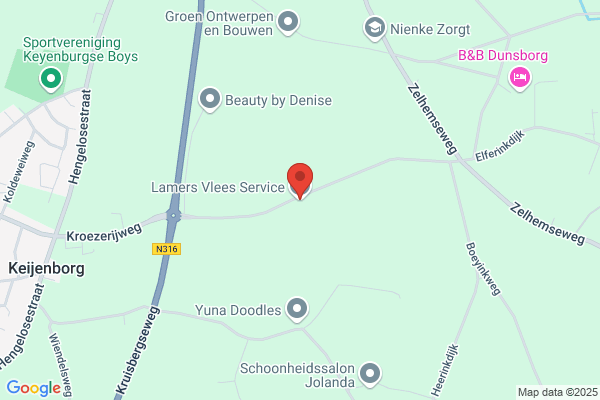 B.A. Berkelaar