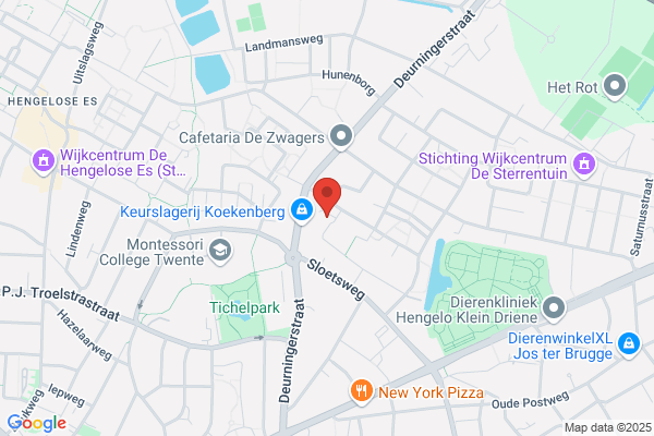Orthopedagoog R W Westerink