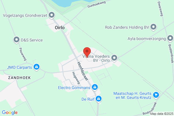 Leijenaar