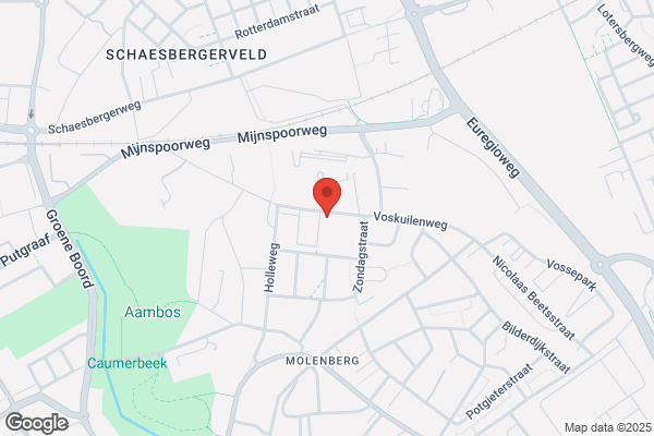 Hollehof, De