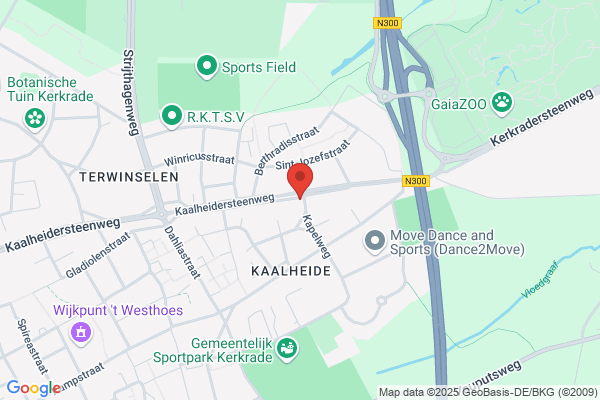 B & S Bouwservice Vof