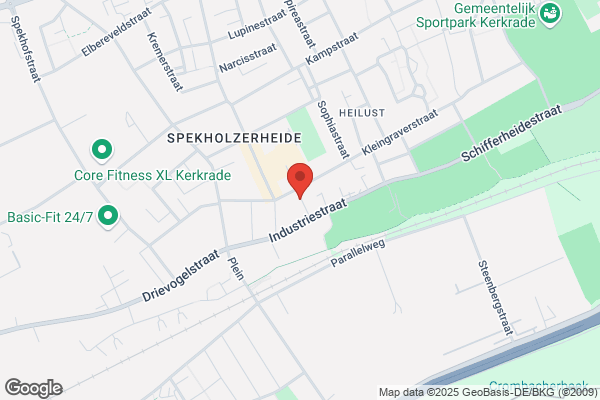 David, Mannenkoor