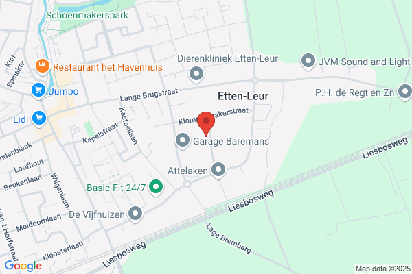 Leesnet