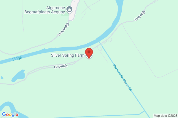 Silver Spring Nurseries Bv