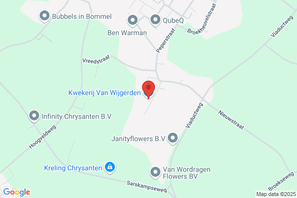 Wijgerden, P Van