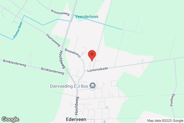 Bruinhorst, Van De