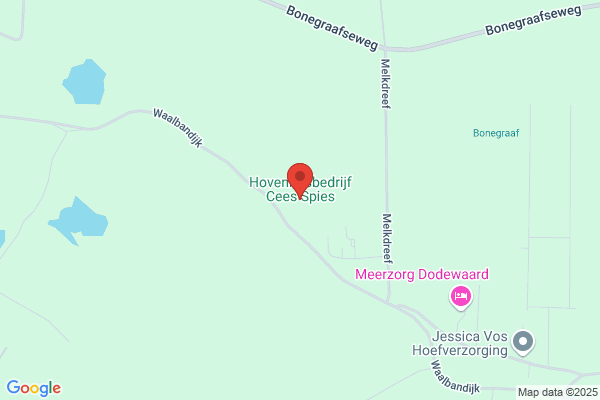Speyer Groenvoorziening