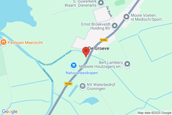 Kersenbloesem
