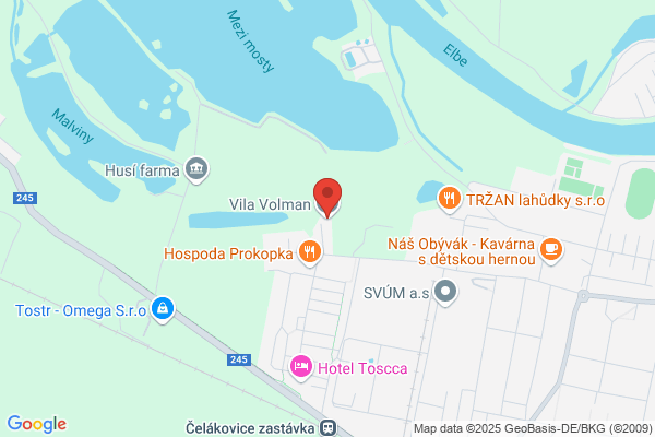 Volman