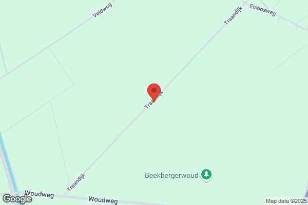 Aloysa, Hondenschool