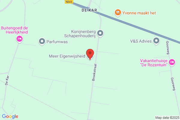 Ineke