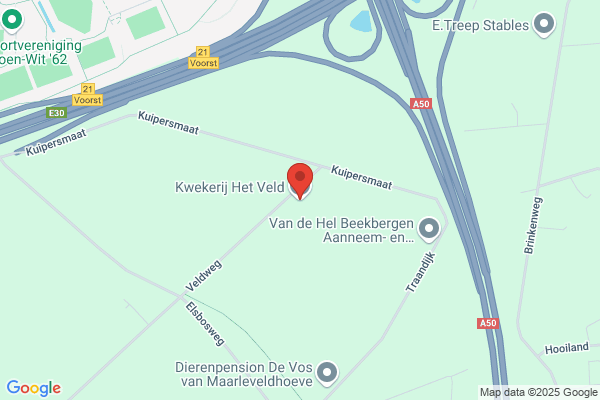 Willemsen, Bart