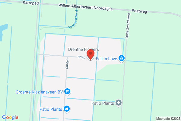 Rozenkwekerij De Strijp Bv