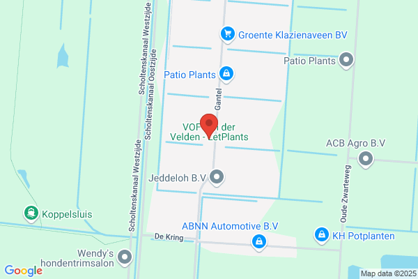 Van Winden Tuinbouw Bv